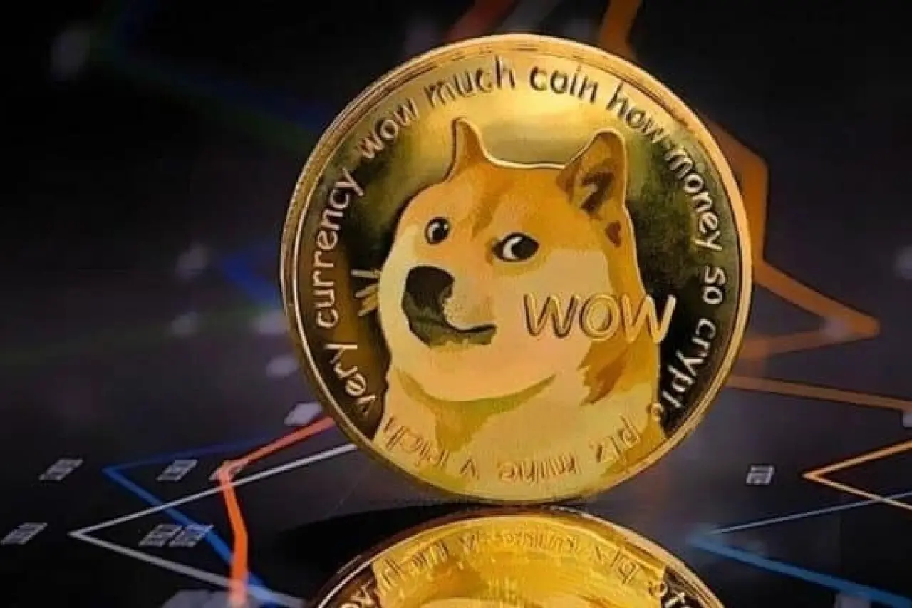 Dogecoin balinasının 300 milyon DOGE almasının kritik sebebi