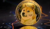 Dogecoin balinasının 300 milyon DOGE almasının kritik sebebi