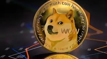 Dogecoin balinasının 300 milyon DOGE almasının kritik sebebi