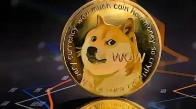 Dogecoin balinasının 300 milyon DOGE almasının kritik sebebi