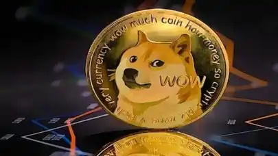 Dogecoin balinasının 300 milyon DOGE almasının kritik sebebi